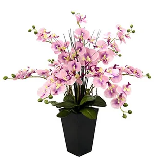 Orchidea w doniczce - Sztuczne kwiaty - miniaturka - grafika 1