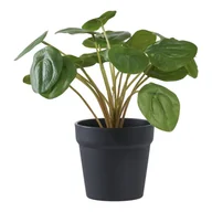 Sztuczne kwiaty - House Nordic Sztuczna roślina Pilea, zielona 28 cm - miniaturka - grafika 1
