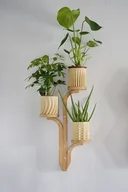 Kwietniki - Kwietnik wiszący Querce - miniaturka - grafika 1