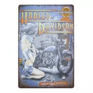Dekoracje domu - Tabliczka dekoracyjna metalowa HARLEY-DAVIDSON 3 - miniaturka - grafika 1