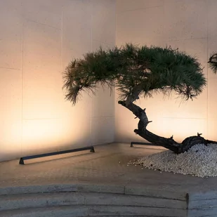 Megatron Wallis Gartia reflektor LED, 15W, 827 - Lampy ogrodowe - miniaturka - grafika 1