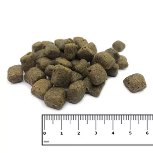 ICEPAW Insect Pure karma z owadów dla dorosłych psów (2 kg) - Sucha karma dla psów - miniaturka - grafika 2