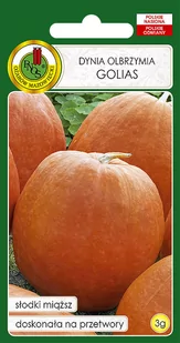 DYNIA GOLIAS SŁODKA PRZETWORY NASIONA BEZ GMO - Nasiona i cebule - miniaturka - grafika 1