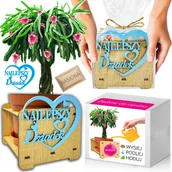 Nasiona i cebule - Prezent na DZIEŃ DZIADKA Pitaja Smoczy Owoc Zestaw do uprawy Nasiona - miniaturka - grafika 1