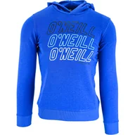 Odzież sportowa dziecięca - Bluza z kapturem O'Neill LB All Year, Dzieci - miniaturka - grafika 1