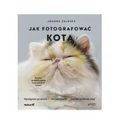 Rozwój osobisty - Jak fotografować kota - miniaturka - grafika 1