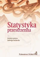 E-booki - biznes i ekonomia - Statystyka przestrzenna. Metody analizy struktur przestrzennych - miniaturka - grafika 1