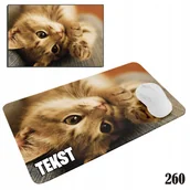 Podkładki pod mysz - PODKŁADKA POD MYSZKĘ MYSZ WZORY DO WYBORU - KOTEK KOT KOTKI 29x36cm - miniaturka - grafika 1