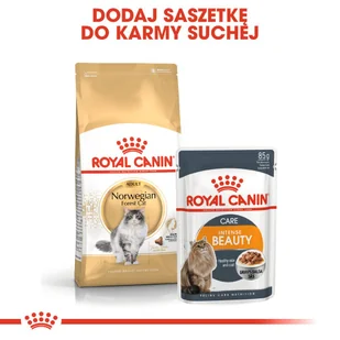ROYAL CANIN Norvegian Forest Cat Adult 2kg + niespodzianka dla kota GRATIS! - Sucha karma dla kotów - miniaturka - grafika 5