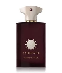 Amouage Odyssey Boundless Woda perfumowana 100 ml - Wody i perfumy męskie - miniaturka - grafika 1