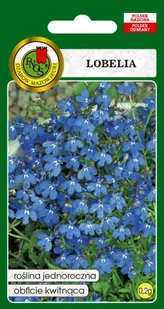 LOBELIA NIEBIESKA 0,2g - Nasiona i cebule - miniaturka - grafika 1