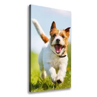 Obrazy i zdjęcia na płótnie - Foto obraz na płótnie pionowy Pies Jack Russell - miniaturka - grafika 1