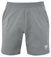 Spodenki męskie - Spodenki męskie Tecnifibre  Club Short Silver M - miniaturka - grafika 1
