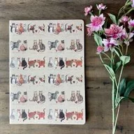 Zeszyty szkolne - Alex Clark Zeszyt B5/40K linia SNL02 Kocia miłość - miniaturka - grafika 1