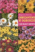Poradniki hobbystyczne - Chryzantemy w ogrodzie i ich bliscy krewni - miniaturka - grafika 1