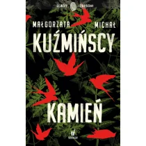Kamień - Thrillery - miniaturka - grafika 1