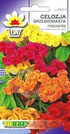 Nasiona i cebule - CELOZJA GRZEBIENIASTA CELOSIA ARGENTEA MIX KOLORÓW NASIONA 0,5 g - miniaturka - grafika 1