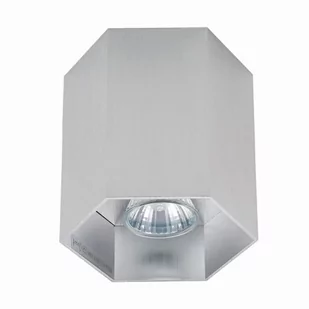 POLYGON CL 1L SPOT ALU/ALU 20067-AL - Lampy pozostałe - miniaturka - grafika 1