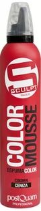 Pianka tonizująca do włosów Postquam Sculpt Color Mousse Cinder 300 ml (8432729002072) - Farby do włosów i szampony koloryzujące - miniaturka - grafika 1
