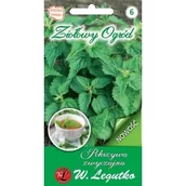 Nasiona i cebule - Pokrzywa 0,1G /Seria Bazowa/ - Zioła Legutko - miniaturka - grafika 1