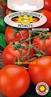 Nasiona i cebule - POMIDOR POD OSŁONY PEDRO F1 0,1g - miniaturka - grafika 1