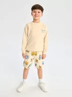 Swetry dla chłopców - Sinsay - Bluza - kremowy - miniaturka - grafika 1