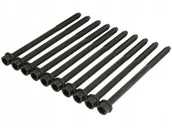 Głowice silnika - REINZ Zestaw śrub głowicy cylindrów REINZ 14-32363-01 - miniaturka - grafika 1