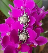 Broszki - Broszka - Biedronki dwie małe - miniaturka - grafika 1