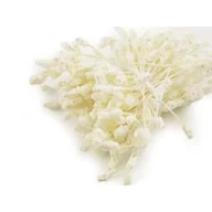 Zabawki kreatywne - Pręciki do kwiatków ryżyki kremowe matowe 200 sztuk - miniaturka - grafika 1