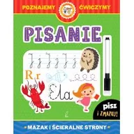 Książki edukacyjne - Wilga GW Foksal Pisanie, Mazak i ścieralne strony - Opracowanie zbiorowe - miniaturka - grafika 1