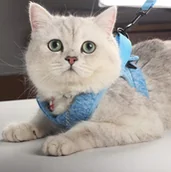 Pozostałe akcesoria dla psów - Szelki uprząż dla psa i kota bez ciągnięcia z klipsem do smyczy r. M Niebieski - miniaturka - grafika 1