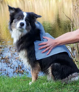 Trixie Hundehandtuch Top-Fix 50X60 2344 - Szczotki i furminatory - miniaturka - grafika 1