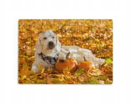 Puzzle - Puzzle 30/70/96/110 Elementów Sublimacja Eko Pudełko Pieski Różne Wzory - miniaturka - grafika 1