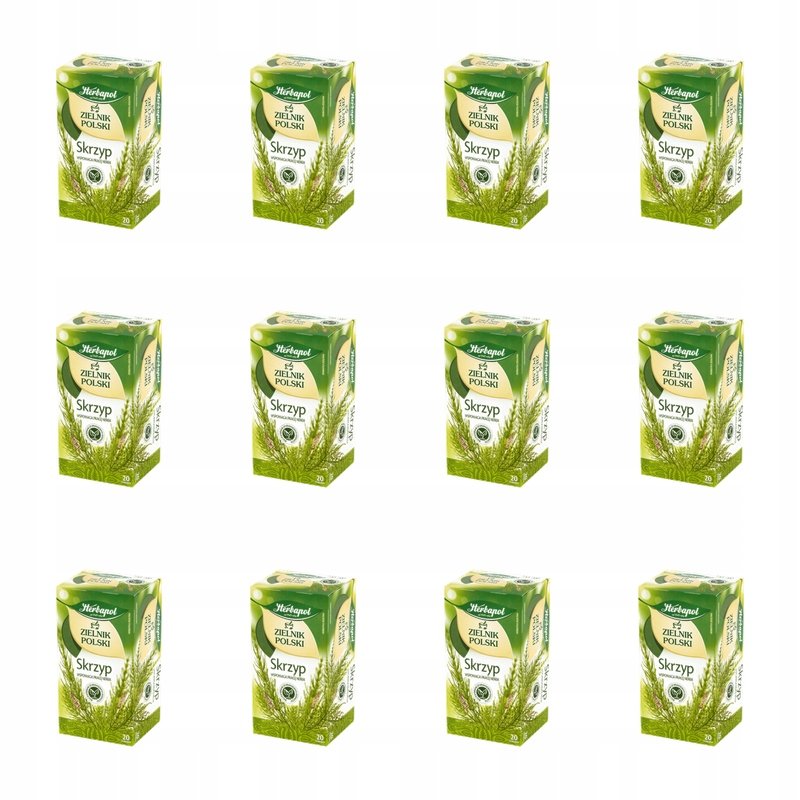 Skrzyp Polny Herbata Ziołowa 20 Torebek Ekspresowa Zielnik Polski X12