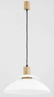 Lampy sufitowe - Alfa Lampa wisząca nowoczesna 1pł TROPIC 60356 ALF60356 - miniaturka - grafika 1