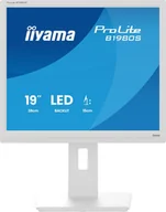 Monitory - iiyama ProLite B1980S-W1 19" 1280 x 1024 px SVGA LED Biały - miniaturka - grafika 1