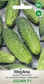 Nasiona i cebule - Ogórek konserwowy - gruntowy Julian F1 4g - miniaturka - grafika 1