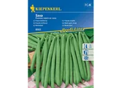 Nasiona i cebule - Fasola szparagowa wczesna SAXA nasiona Kiepenkerl - miniaturka - grafika 1