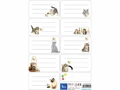 Artykuły biurowe - Tetis Naklejki na zeszyty i książki p25 KN001-06 Koty cena za 1 sztukę - miniaturka - grafika 1