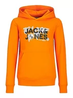 Bluzy dla chłopców - JACK&JONES JUNIOR Chłopięca bluza z kapturem Jcodust Sweat Hood Sn Jnr, Exuberance, 164 - miniaturka - grafika 1