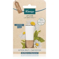 Balsamy do ust - Melisa Kneipp Kneipp Balsam do ust Repair & Prevent i rumianek 4.7 g - miniaturka - grafika 1