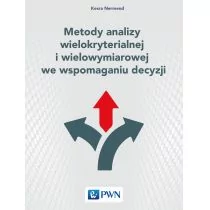 NERMEND KESRA Metody analizy wielokryterialnej i wielowymiarowej we wspomaganiu decyzji - Podstawy obsługi komputera - miniaturka - grafika 1