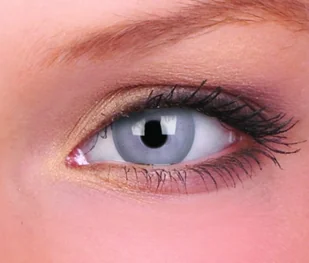 Maxvue Vision Soft Grey 0.0 - Soczewki kontaktowe - miniaturka - grafika 1