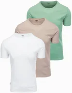 Koszulki męskie - Zestaw męskich koszulek bawełnianych BASIC z okrągłym dekoltem szarozielony/biały/beżowy V14 OM-TSBS-0232 XXL - miniaturka - grafika 1