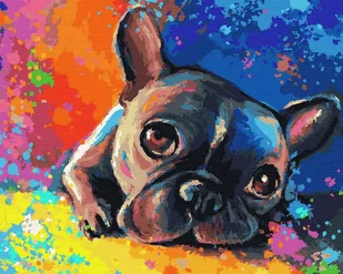 Artnapi 40x50cm Obraz Do Malowania Po Numerach Na Drewnianej Ramie - Kolorowy Buldog - Malowanie po numerach - miniaturka - grafika 1