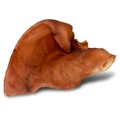 Przysmaki dla psów - DOGARIO BONNI PIG'S EAR L - DUŻE WIEPRZOWE UCHO GRYZAK DLA PSA X10 - miniaturka - grafika 1