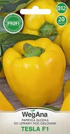 Nasiona i cebule - Papryka Tesla F1 20 nasion nasiona - WegAna - miniaturka - grafika 1