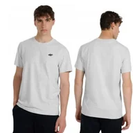 Koszulki męskie - Koszulka 4F Męska T-shirt Bawełniany Podkoszulek Sportowy Szary r. M - miniaturka - grafika 1