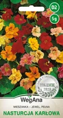 Nasiona i cebule - NASTURCJA KARŁOWA PEŁNA MIESZANKA 2g - miniaturka - grafika 1