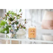 Świece - YANKEE CANDLE Świece zapachowe Mango Ice Cream 567.0 g - miniaturka - grafika 1